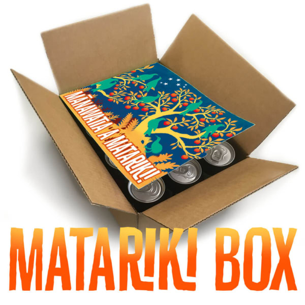 Matariki Party Box