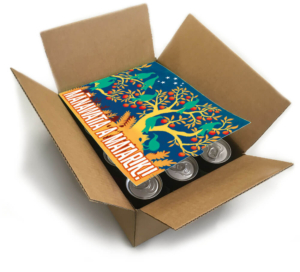 Matariki Party Box